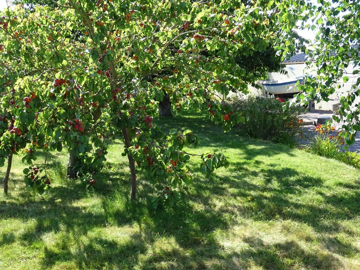 Le Cottage " Village De La Ruee " Location De Vacances Plurien Exterior photo